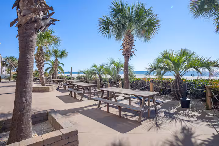 Palm-shaded picnic area on the resort grounds steps from the sand in Myrtle Beach